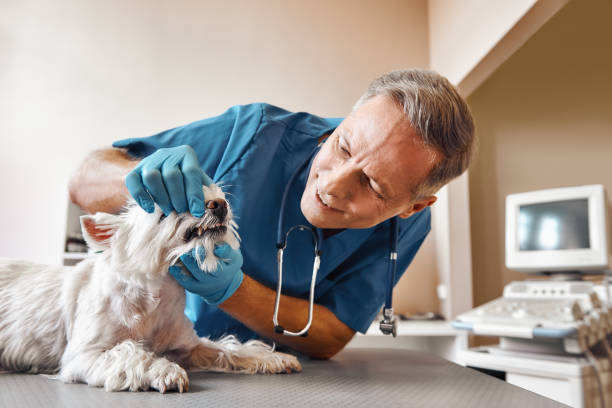 Best Emergency Dental Surgery in Lincoln, IL